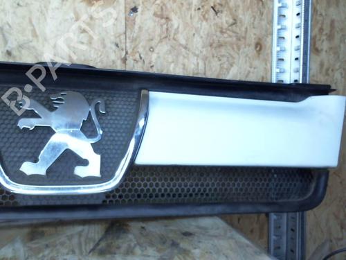 grille-peugeot-boxer-van-244-2001-25359601 main image