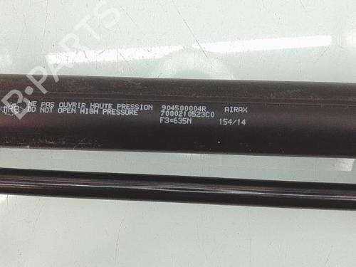 Tailgate lift support RENAULT SCÉNIC III (JZ0/1_) 1.5 dCi (JZ02, JZ0R) | BP29387229C138 