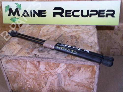 Used Tailgate lift support RENAULT CLIO II (BB_, CB_) 1.9 D (B/CB0J) (65 hp) 25367816