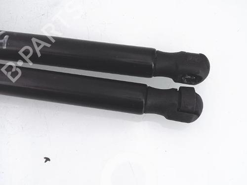 Gassdemper Bakluke FORD FIESTA VI (CB1, CCN) 1.0 EcoBoost | BP25350508C138 