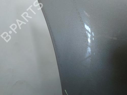 Front bumper RENAULT SCÉNIC III (JZ0/1_) 1.5 dCi (JZ02, JZ0R) | BP29387254C7 