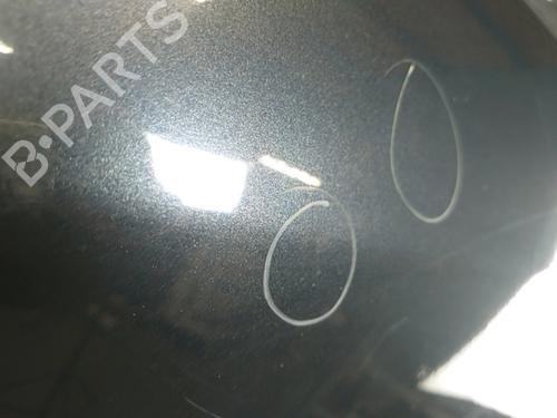 Right front door RENAULT MEGANE III Hatchback (BZ0/1_, B3_) 1.9 dCi (BZ0N, BZ0J) | BP30128554C3