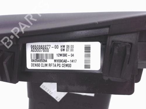 Used Air vent CITROËN C4 Picasso I MPV (UD_) 1.6 HDi 110 (112 hp) 25361290