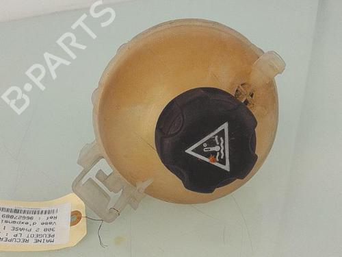 Used Expansion tank PEUGEOT 308 II (LB_, LP_, LW_, LH_, L3_) 1.6 BlueHDi 120 (120 hp) 25371401