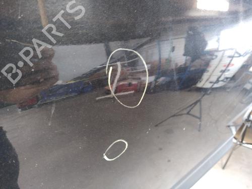 Left front door NISSAN QASHQAI I (J10, NJ10) 1.5 dCi | BP25368556C2 