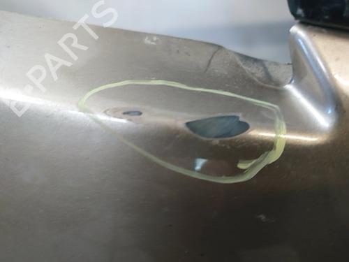 Front bumper RENAULT SCÉNIC III (JZ0/1_) 1.5 dCi (JZ02, JZ0R) | BP29387254C7 
