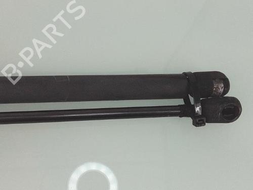 Gassdemper Bakluke OPEL CORSA C (X01) 1.3 CDTI (F08, F68) | BP25352073C138 