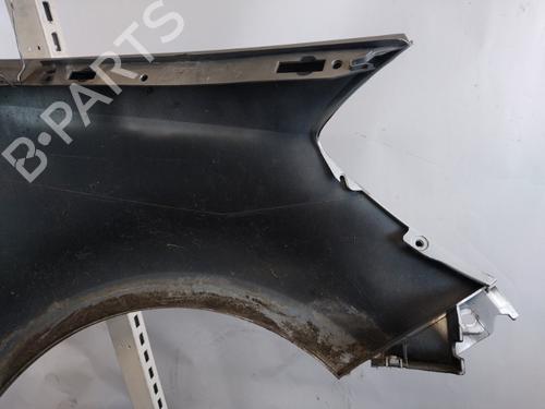 Left front fenders RENAULT CLIO III (BR0/1, CR0/1) 1.5 dCi (C/BR0G, C/BR1G) | BP25360477C41