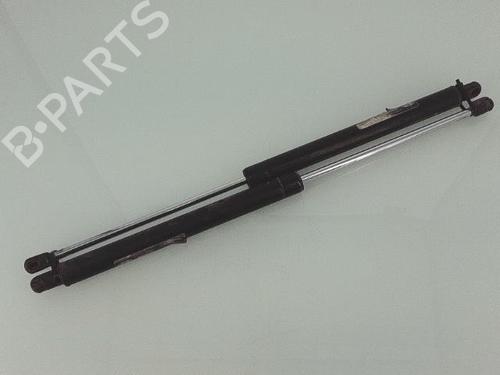 Tailgate lift support HYUNDAI TRAJET (FO) 2.0 CRDi | BP25359819C138 