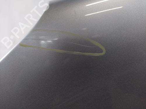 Left front fenders PEUGEOT 1007 (KM_) 1.4 HDi | BP26526153C41