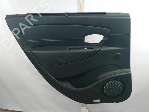 Used Rear left panel RENAULT SCÉNIC III (JZ0/1_) 1.6 dCi (JZ00, JZ12) (130 hp) 30462403