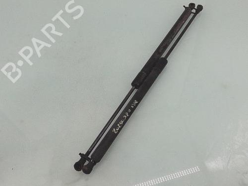 Tailgate lift support RENAULT SCÉNIC III (JZ0/1_) 1.5 dCi (JZ02, JZ0R) | BP29387229C138 