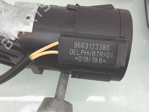 Ignition barrel PEUGEOT 208 I (CA_, CC_) 1.2 THP 110 | BP29571305M48 