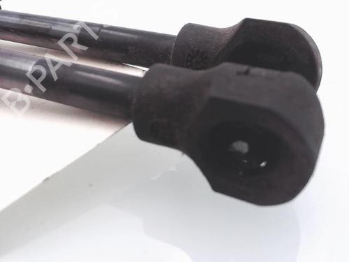 tailgate-lift-support-dacia-lodgy-js_-2012-25369175 main image