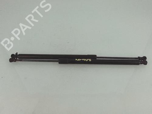 tailgate-lift-support-renault-modus-grand-modus-fjp0_-2004-27273583 main image