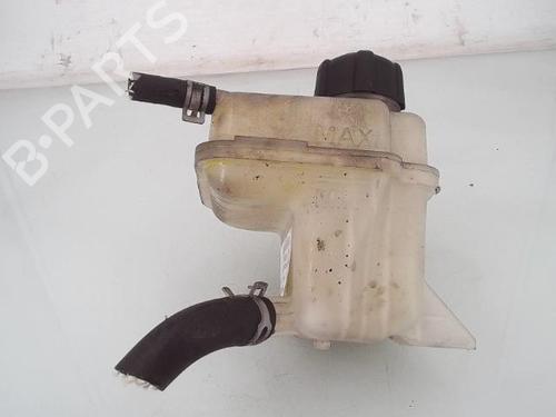 Expansion tank NISSAN QASHQAI / QASHQAI +2 I (J10, NJ10, JJ10E) 1.5 dCi | BP25368540C120 