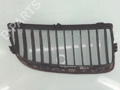 Grille BMW 3 (E90) 325 i | BP29993481C40