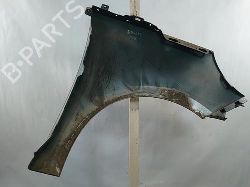 Left front fenders RENAULT SCÉNIC III (JZ0/1_) 1.5 dCi (JZ02, JZ0R) | BP29434412C41 