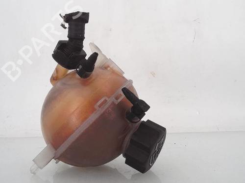 Expansion tank PEUGEOT 3008 I MPV (0U_) 2.0 HDi | BP25368176C120 