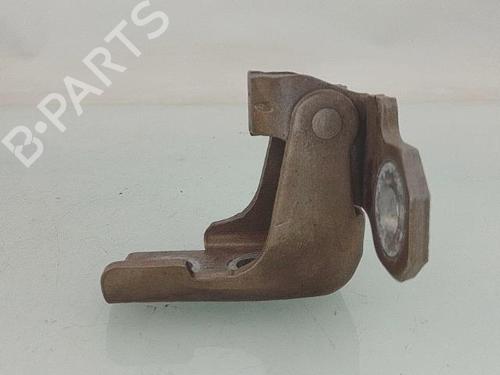 Hinge/Door check strap RENAULT SCÉNIC III (JZ0/1_) 1.5 dCi (JZ02, JZ0R) | BP29387244C146 