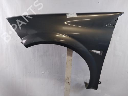 Used Left front fenders RENAULT MEGANE II (BM0/1_, CM0/1_) 1.6 16V (112 hp) 26027654