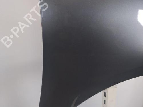 Right front fenders RENAULT SCÉNIC III (JZ0/1_) 1.5 dCi | BP25357573C42