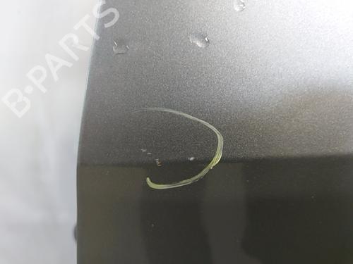 Drzwi przednie lewe VW PASSAT CC B6 (357) 2.0 TDI | BP30909370C2