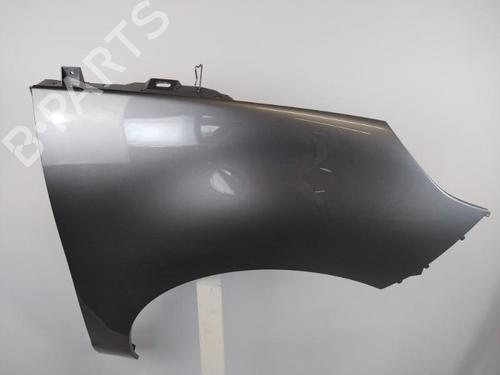 Right front fenders RENAULT SCÉNIC III (JZ0/1_) 1.5 dCi | BP25357573C42