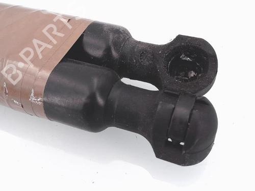 Used Tailgate lift support RENAULT CLIO IV (BH_) 1.2 16V (73 hp) 25357223