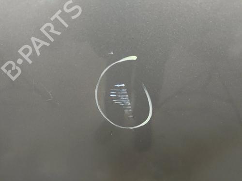 Left rear door CITROËN C4 Picasso I MPV (UD_) 1.6 HDi | BP30133014C4