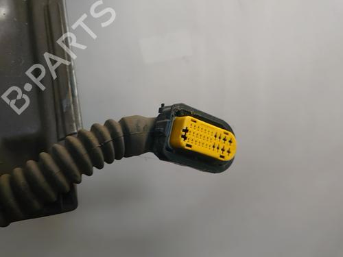 Left rear door RENAULT SCÉNIC III (JZ0/1_) 1.6 dCi (JZ00, JZ12) | BP30445083C4