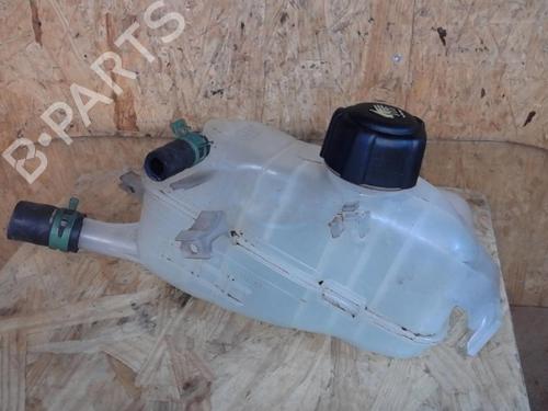 Used Expansion tank RENAULT MEGANE III Hatchback (BZ0/1_, B3_) 1.5 dCi (BZ09, BZ0D, BZ1W, BZ29, BZ14) (110 hp) 25365282