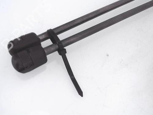Used Tailgate lift support FORD FIESTA VI (CB1, CCN) 1.0 EcoBoost (100 hp) 25350508