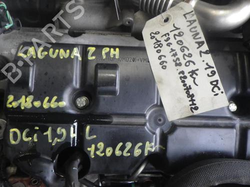 Højre baklys, luke RENAULT LAGUNA II (BG0/1_) 1.9 dCi (BG1A, BG1W, BG0G) | BP25365703C80 
