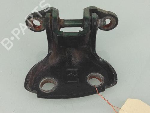 Hinge/Door check strap ROVER 45 I Saloon (RT) 2.0 iDT | BP25356000C146 