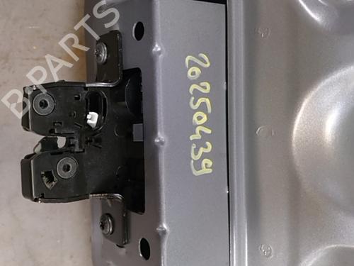 Tailgate RENAULT CLIO III (BR0/1, CR0/1) 1.5 dCi (C/BR0G, C/BR1G) | BP30912061C6 