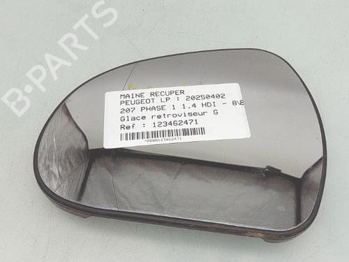 Espelho esquerdo Espelho esquerdo PEUGEOT 207 (WA_, WC_) 1.4 HDi (68 hp) 33540367 33540367