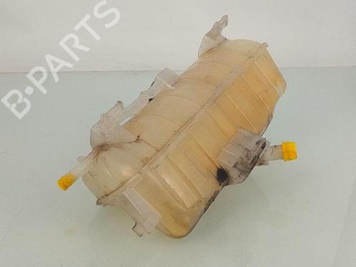 Expansion tank RENAULT KANGOO Express (FW0/1_) 1.5 dCi 90 (FW0G, FW05, FW08, FW11) | BP25701193C120 
