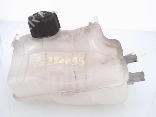 Used Expansion tank RENAULT SCÉNIC III (JZ0/1_) 1.5 dCi (110 hp) 25351366