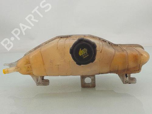 Used Expansion tank RENAULT CLIO III (BR0/1, CR0/1) 1.2 16V (BR02, BR0J, BR11, CR02, CR0J, CR11) (75 hp) 29178570