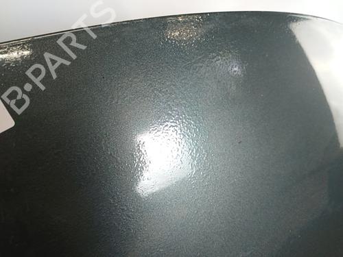 Used Hood Hood PEUGEOT 207 SW (WK_) 1.6 HDi (109 hp) 36166588 36166588