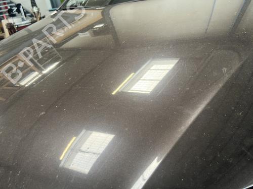 Motorhjelm Motorhjelm VW PASSAT B6 (3C2) 1.9 TDI (105 hp) 25349947 25349947