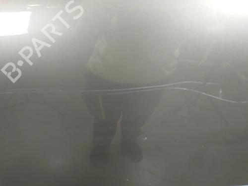 Left front door CITROËN C4 Picasso I MPV (UD_) 1.6 HDi | BP30133017C2