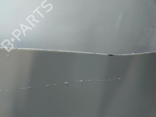 Left front door FIAT PANDA (169_) 1.2 LPG (169CXF1A) | BP30194424C2 