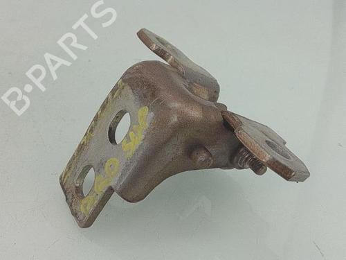 Hinge/Door check strap RENAULT SCÉNIC III (JZ0/1_) 1.5 dCi (JZ02, JZ0R) 804000017R