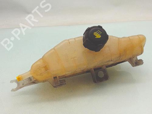 expansion-tank-renault-clio-iii-br01-cr01-2005-2006-2007-2008-2009-2010-2011-2012-2013-2014-31330792 main image