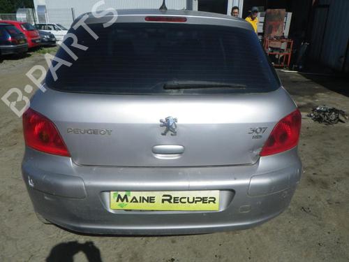 Left mirror PEUGEOT 307 (3A/C) 2.0 HDi 110 | BP25369679C26 