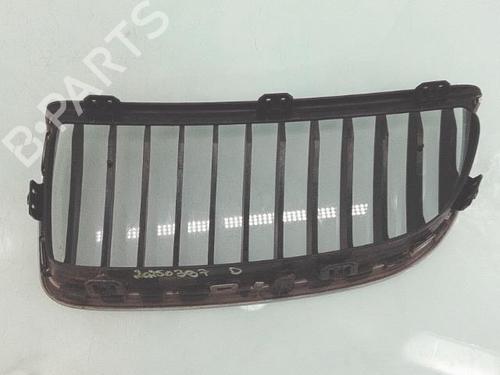 Grille BMW 3 (E90) 325 i | BP29993480C40