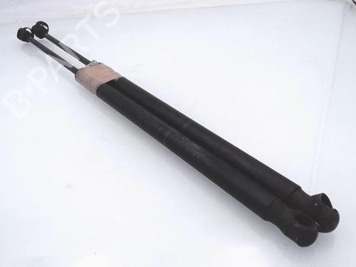 Gassdemper Bakluke RENAULT SCÉNIC II (JM0/1_) 1.5 dCi (JM02, JM13) | BP25366577C138 