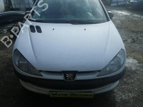 Display monitor PEUGEOT 206 Hatchback (2A/C) 1.9 D | BP25373677C48 